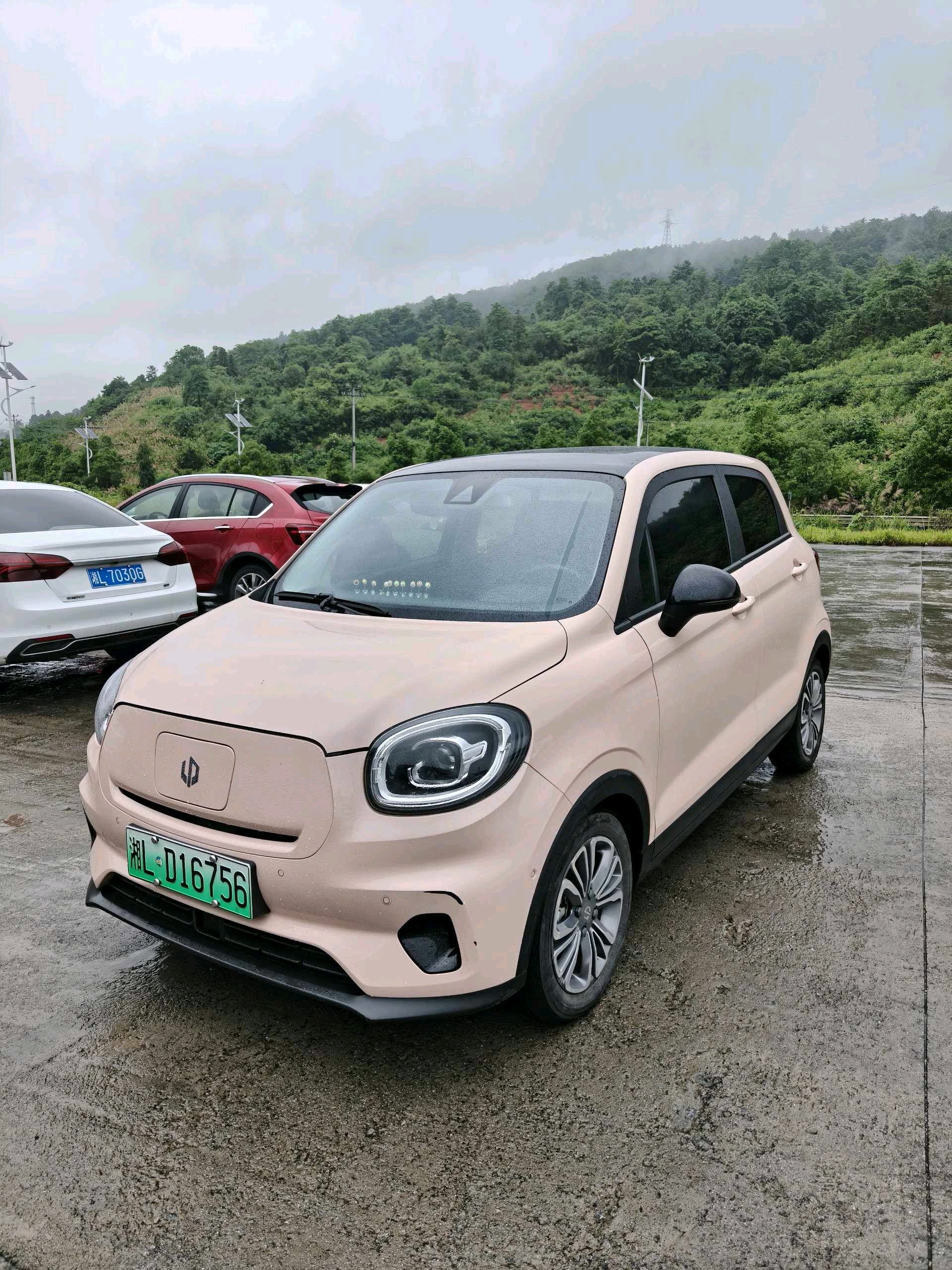 Leapmotor 2021 T03 400 Luxury Edition