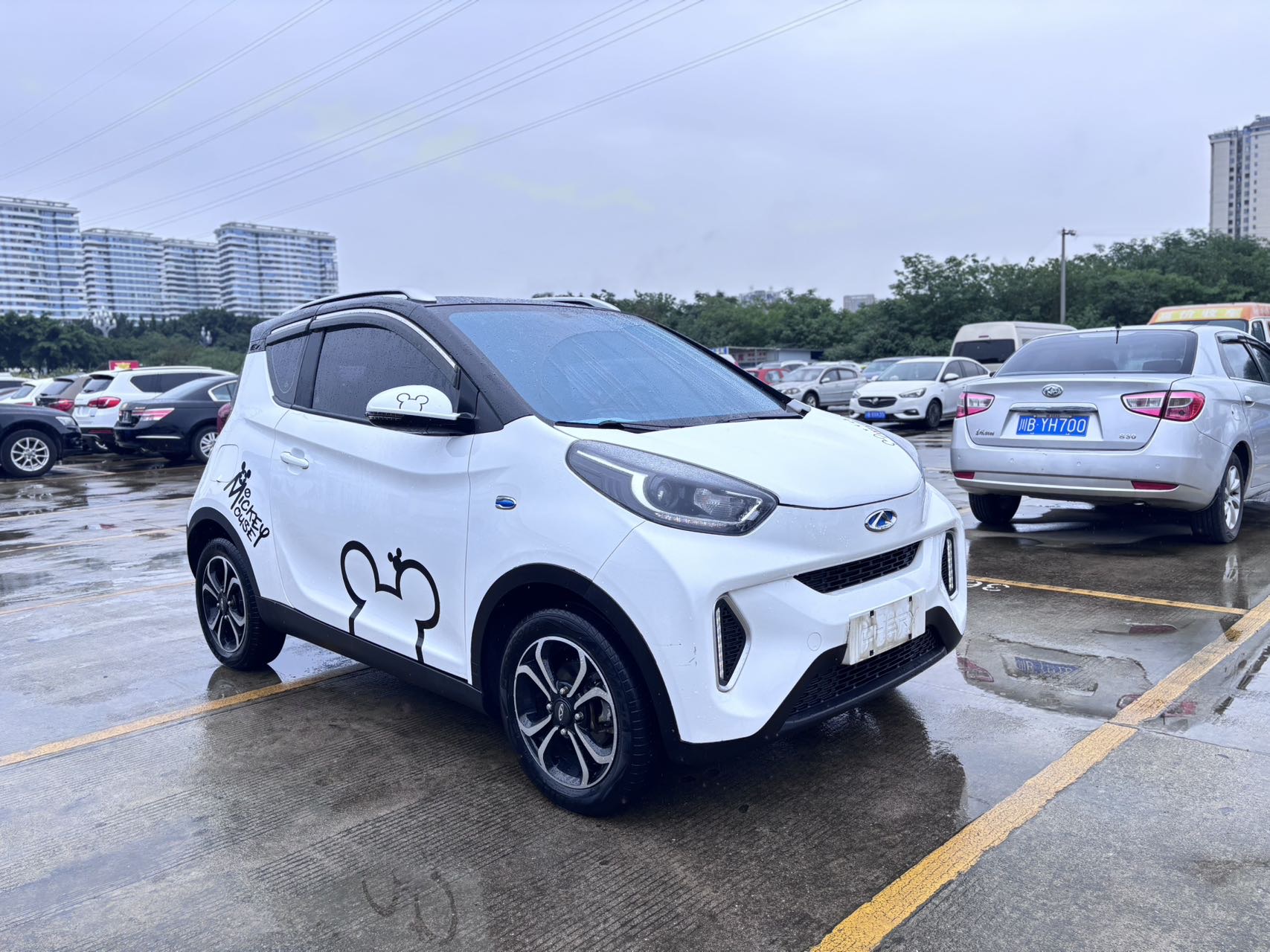 Chery 2021 eQ1 150,000 Ant Powder Edition Ant Xuan Edition Ternary Lithium