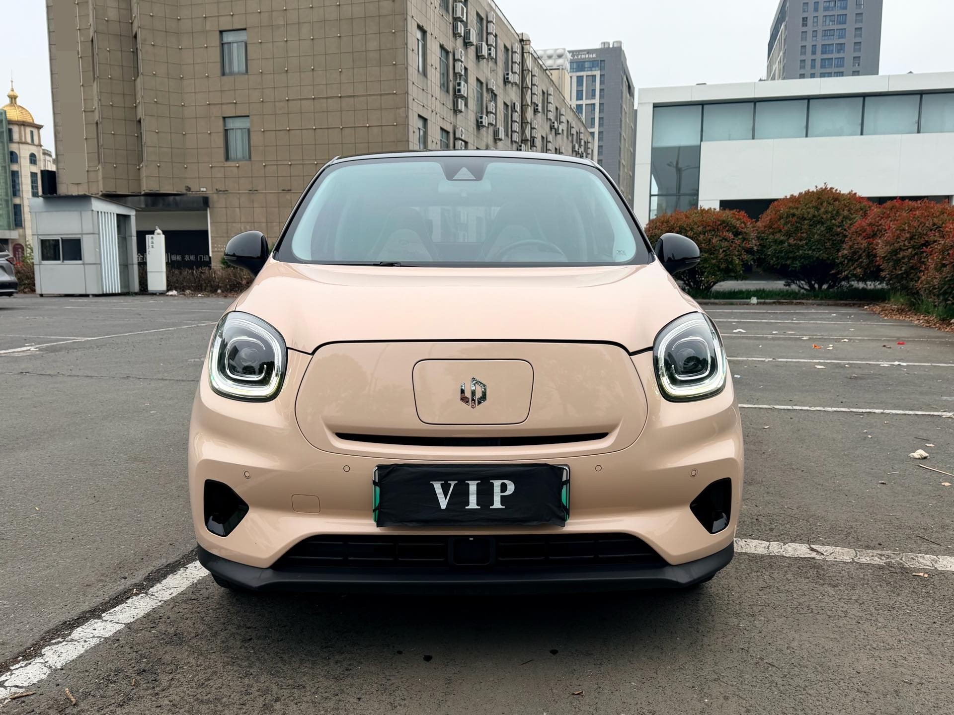 Leapmotor 2022 T03 Special Edition