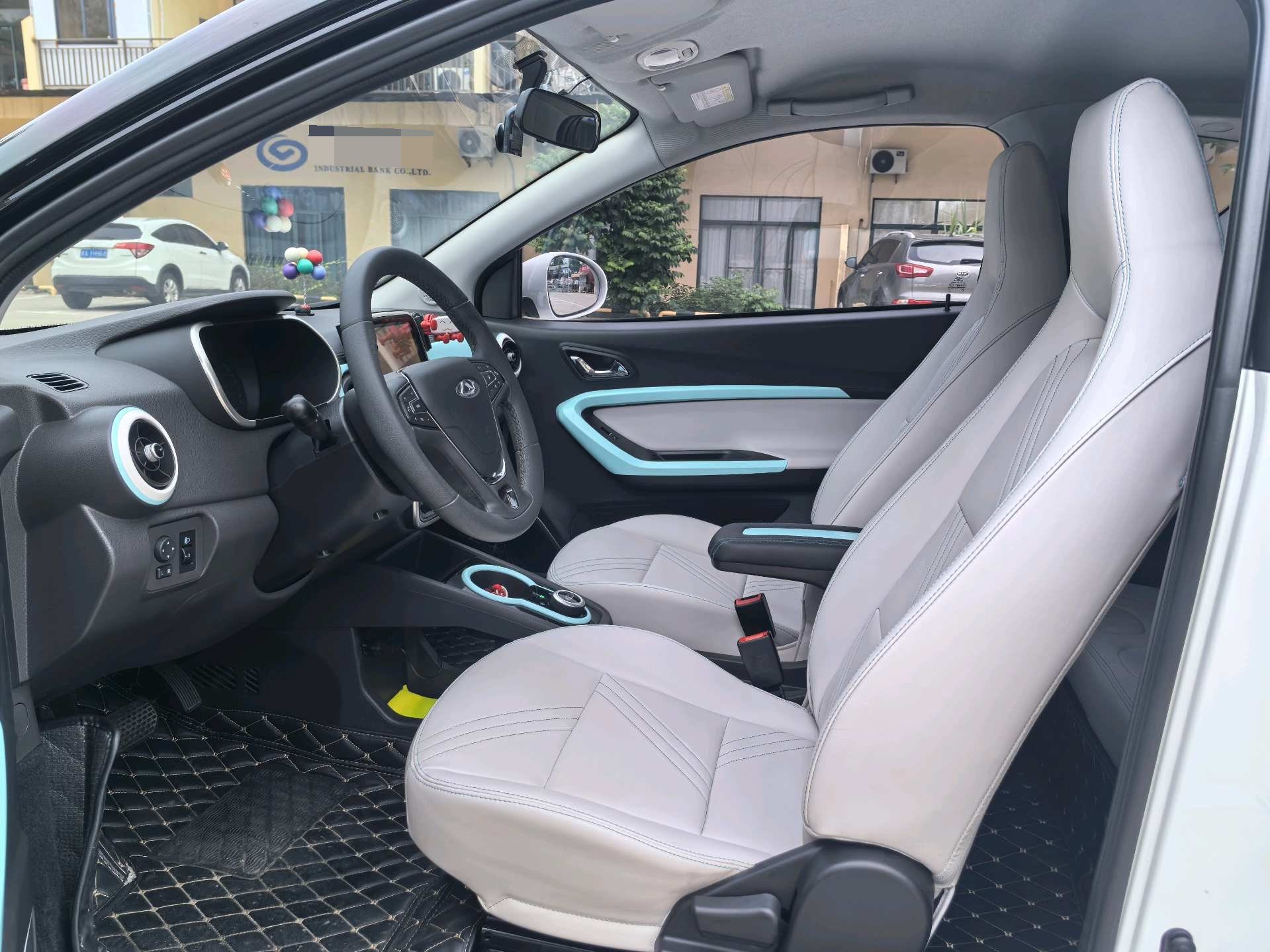 Chery 2021 eQ1 200,000 Ant Powder Edition Oxygen Version Ternary Lithium 301km