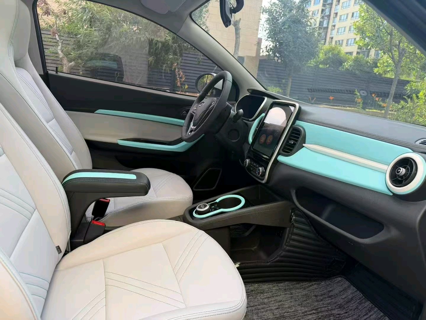 Chery 2021 eQ1 200,000 Ant Powder Edition Oxygen Version LFP 301km