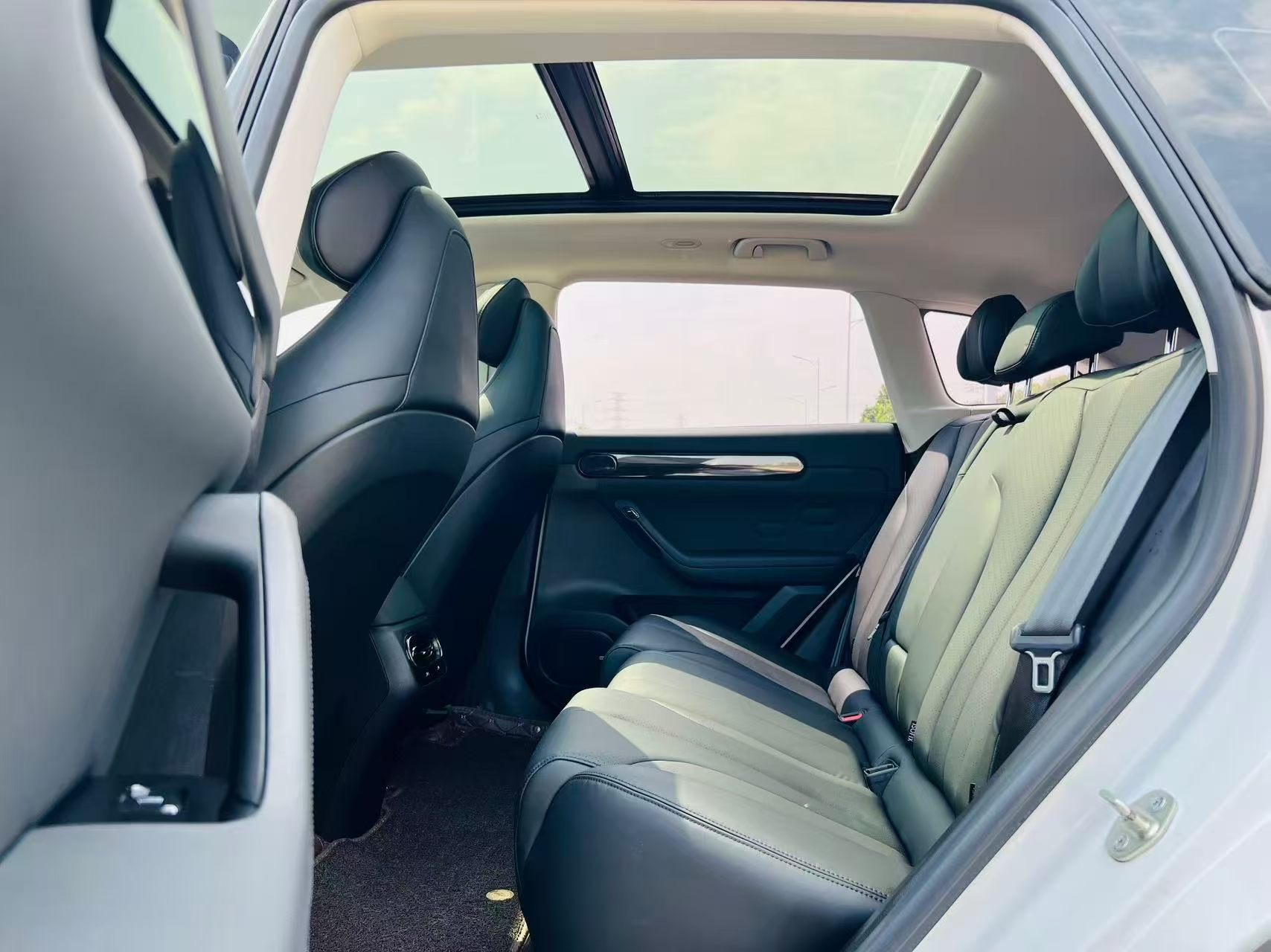 Leapmotor 2021 C11 Luxury Edition