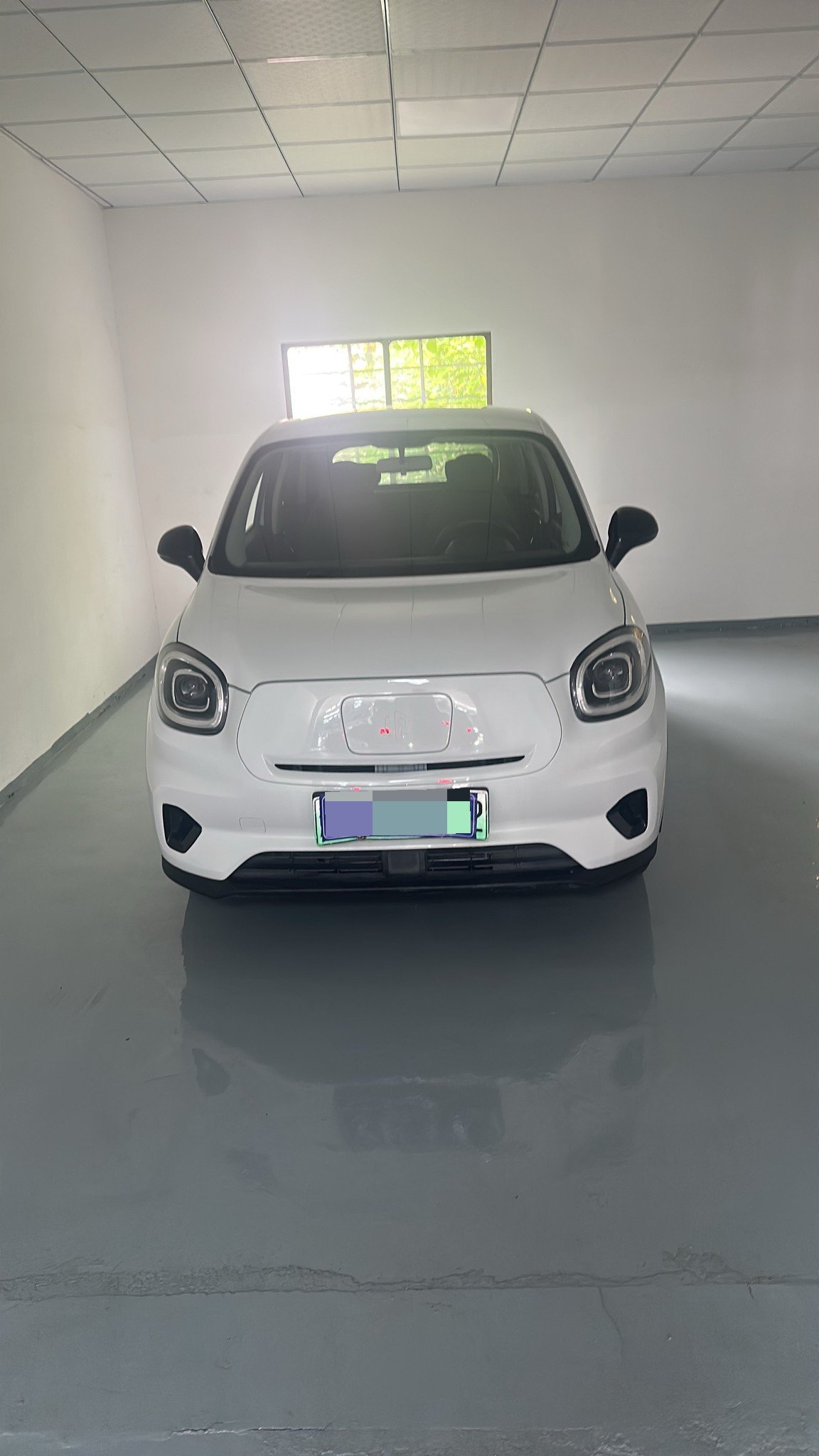 Leapmotor 2020 T03 400 Standard