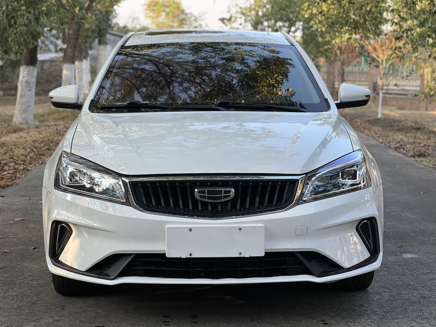 Geely 2019 Emgrand Sedan 1.5 CVT Leading Edition Xiangya Asian Games Edition