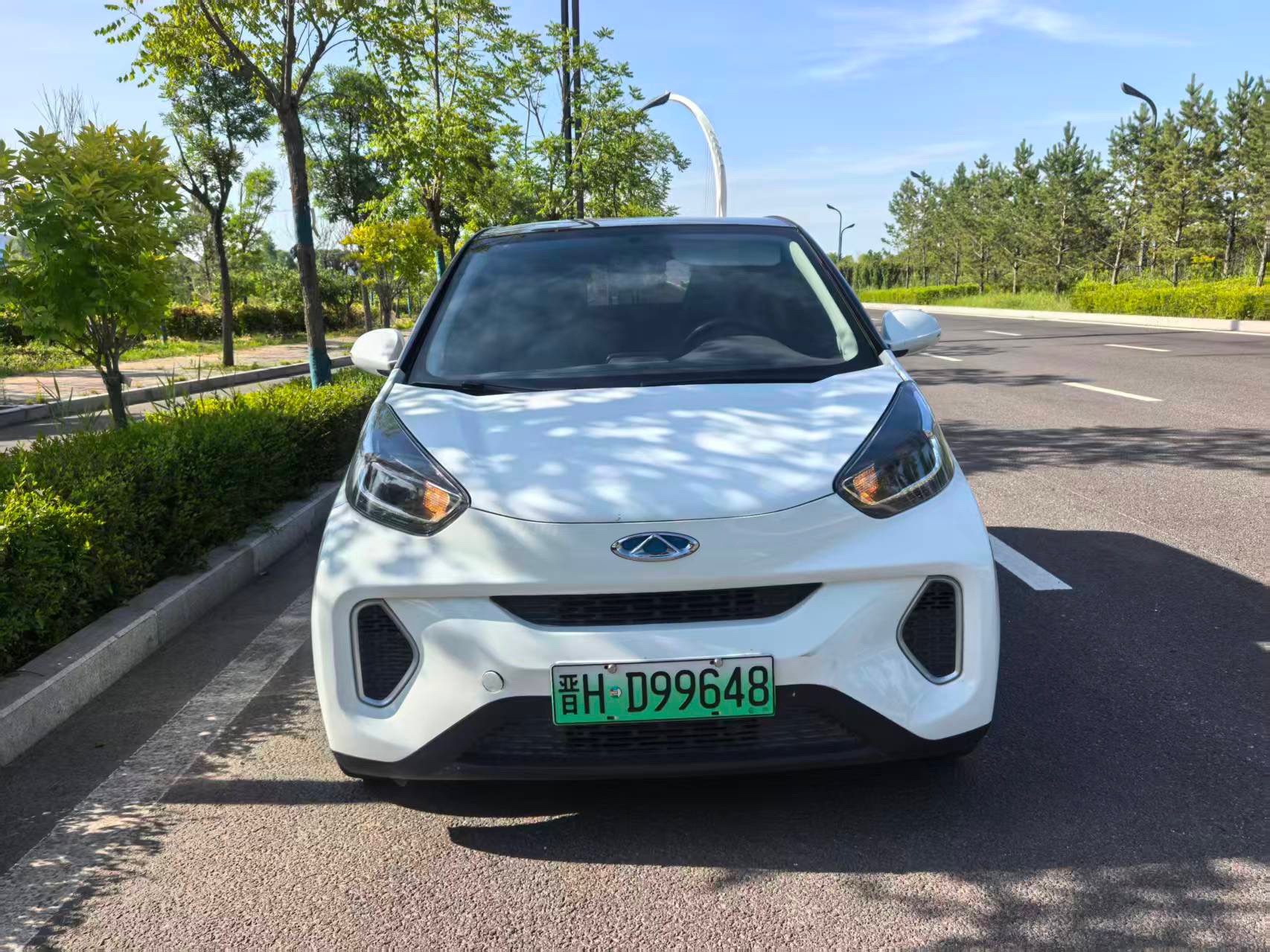 Chery 2021 eQ1 150,000 Ant Powder Edition Ant Cool Version LFP