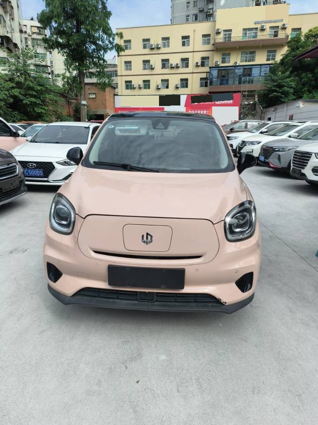 Leapmotor 2021 T03 400 Luxury Edition