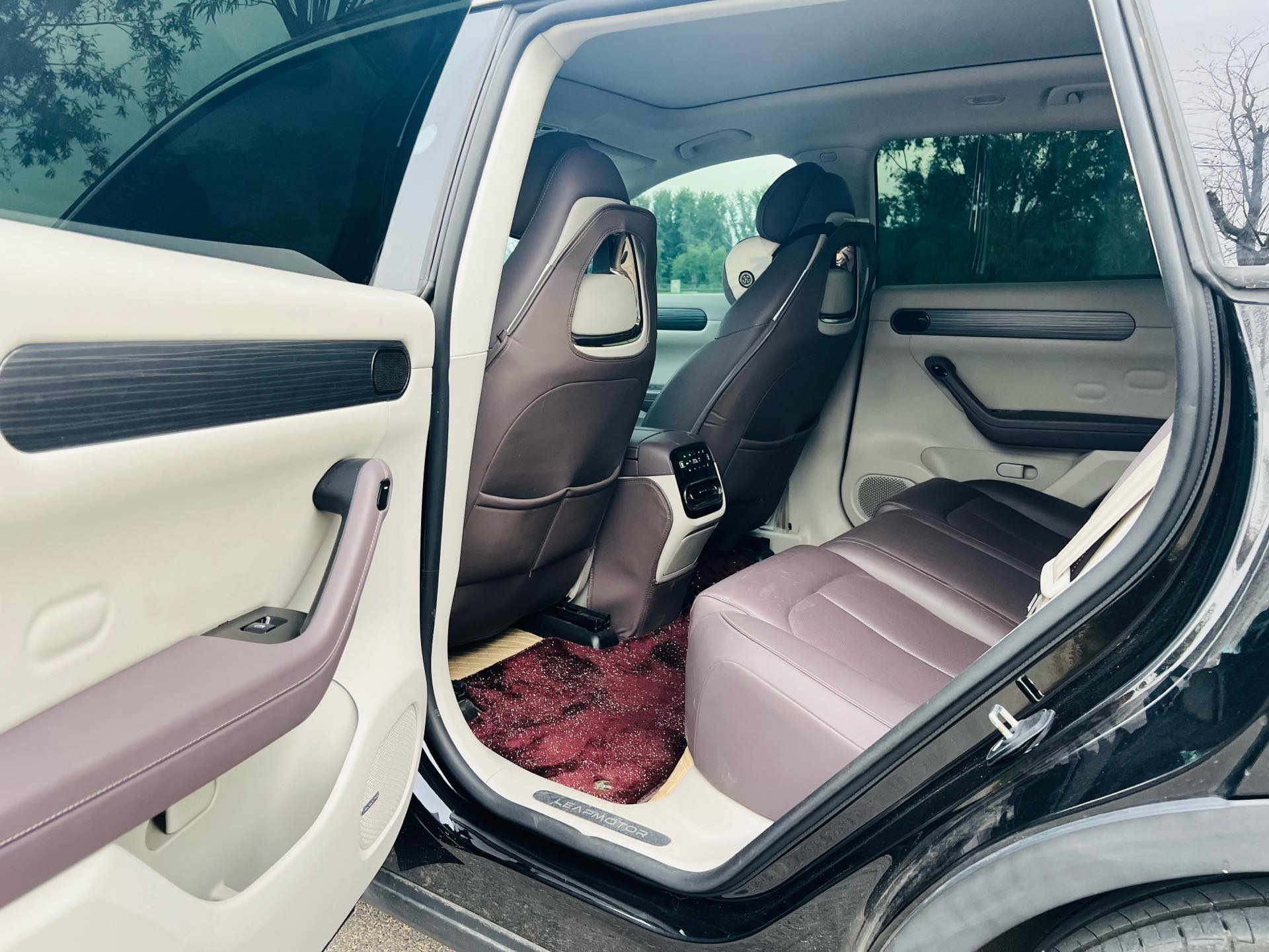 Leapmotor 2023 C11 500 Smart Edition