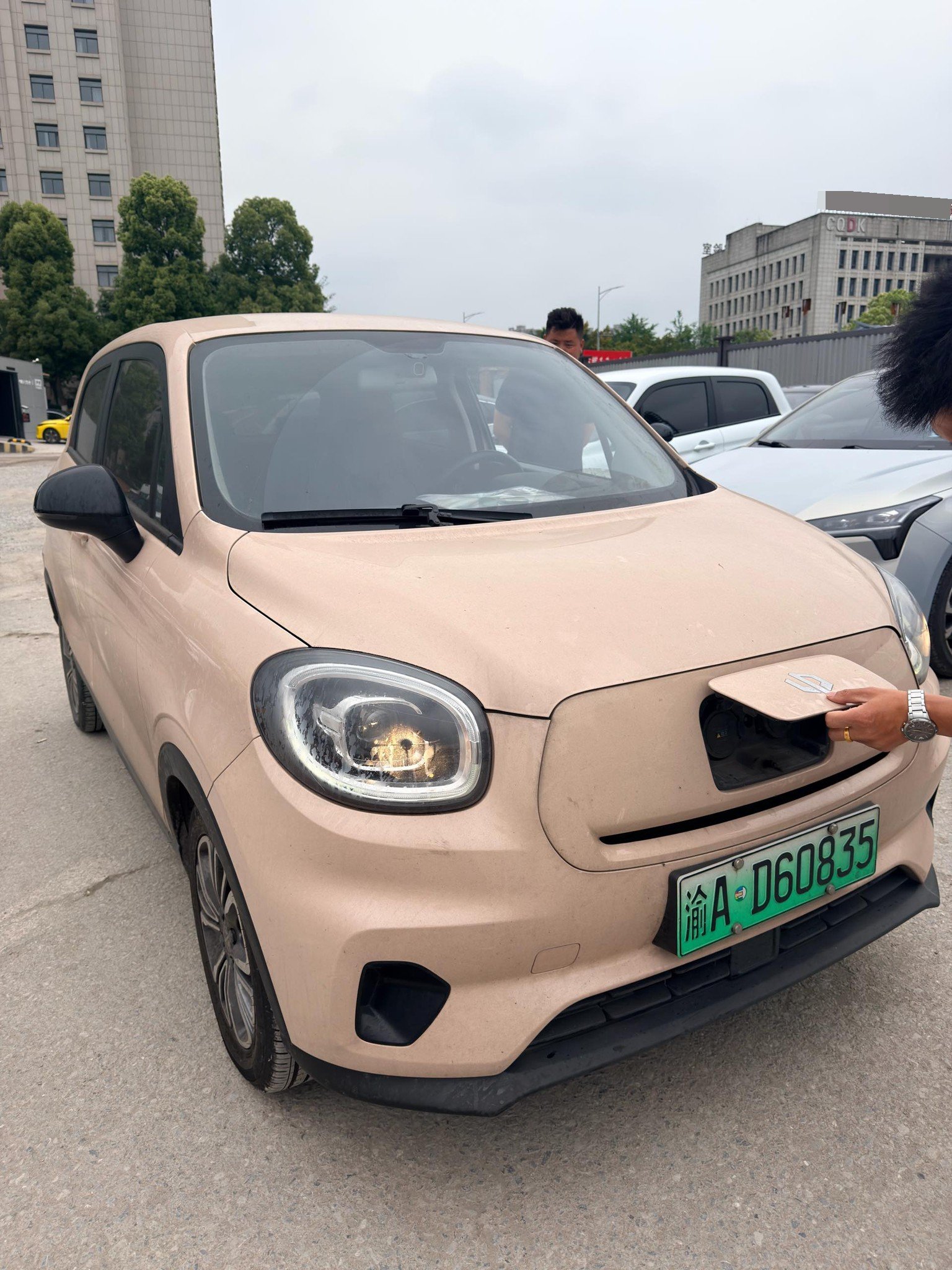 Leapmotor 2021 T03 400 Weitang Edition