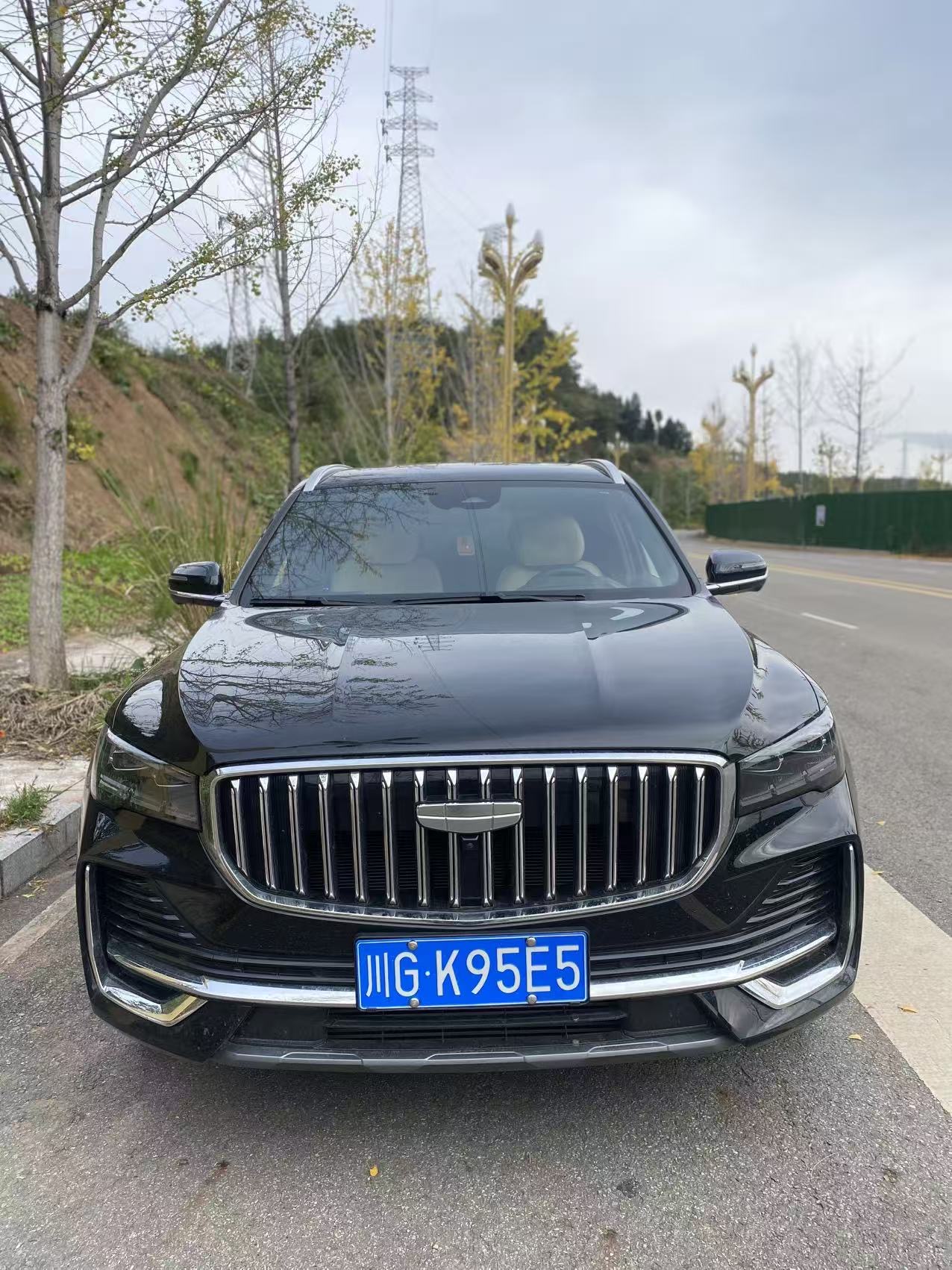 Geely 2025 Xingyue L 2.0TD Dongfang Yao 4WD Wangyue Edition