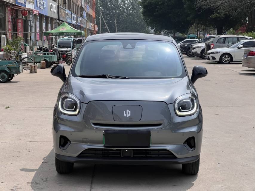 Leapmotor 2020 T03 400 Luxury Edition
