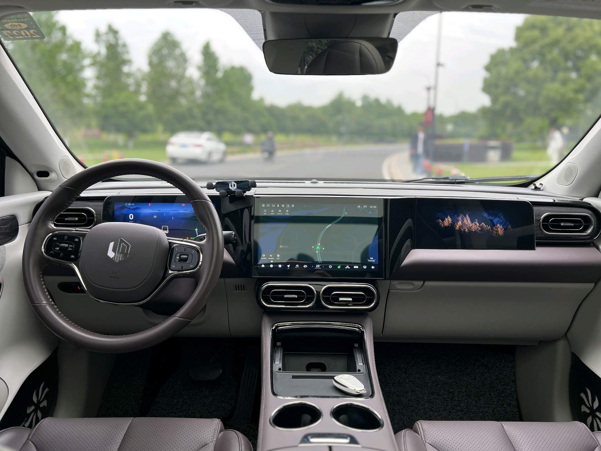Leapmotor 2021 C11 Premium Edition
