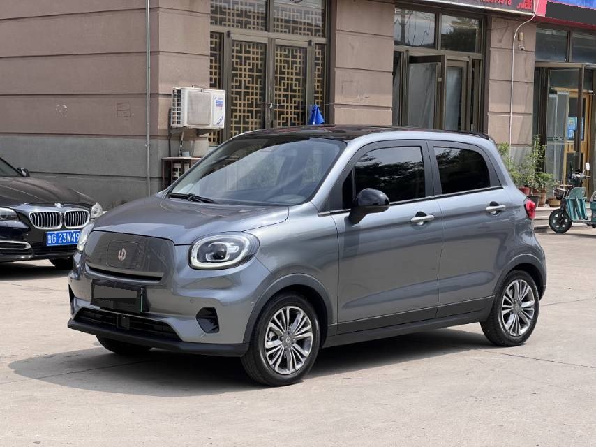 Leapmotor 2020 T03 400 Luxury Edition