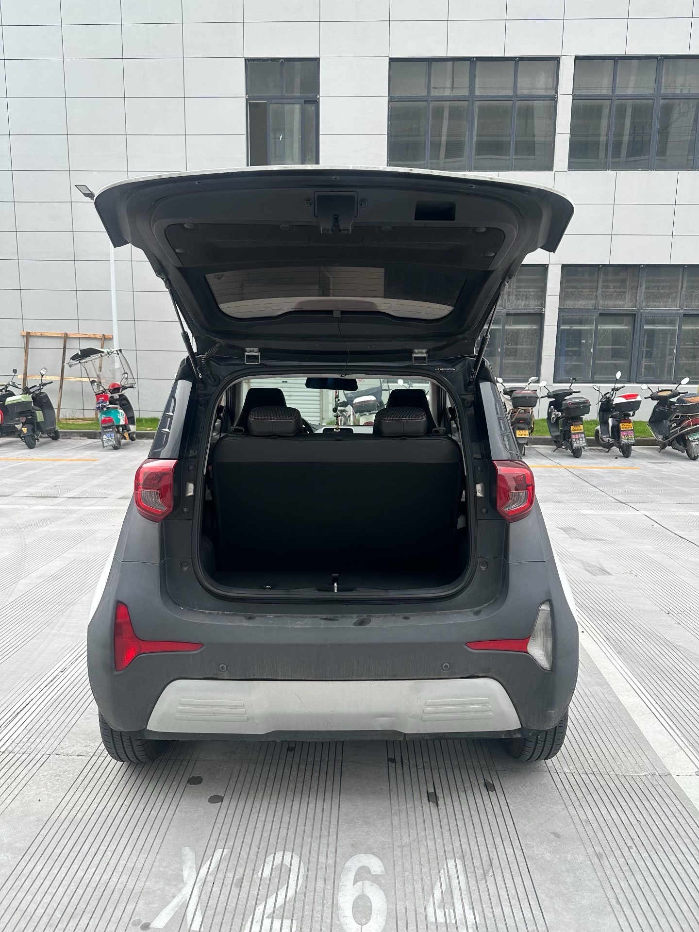 Chery 2021 eQ1 150,000 Ant Powder Edition Ant Xuan Edition LFP