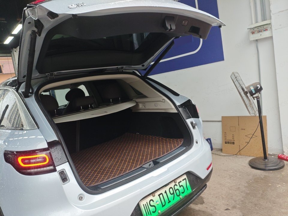 Leapmotor 2021 C11 Premium
