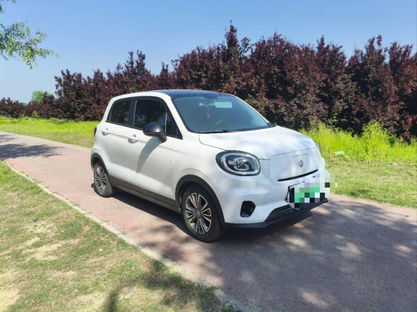 Leapmotor 2022 T03 Liuli Edition