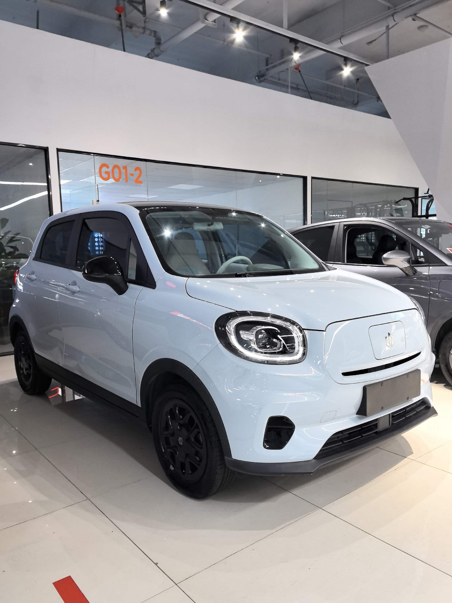Leapmotor 2023 T03 310 Fenxiang Edition