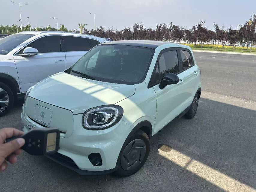 Leapmotor 2024 T03 200 Lite Edition