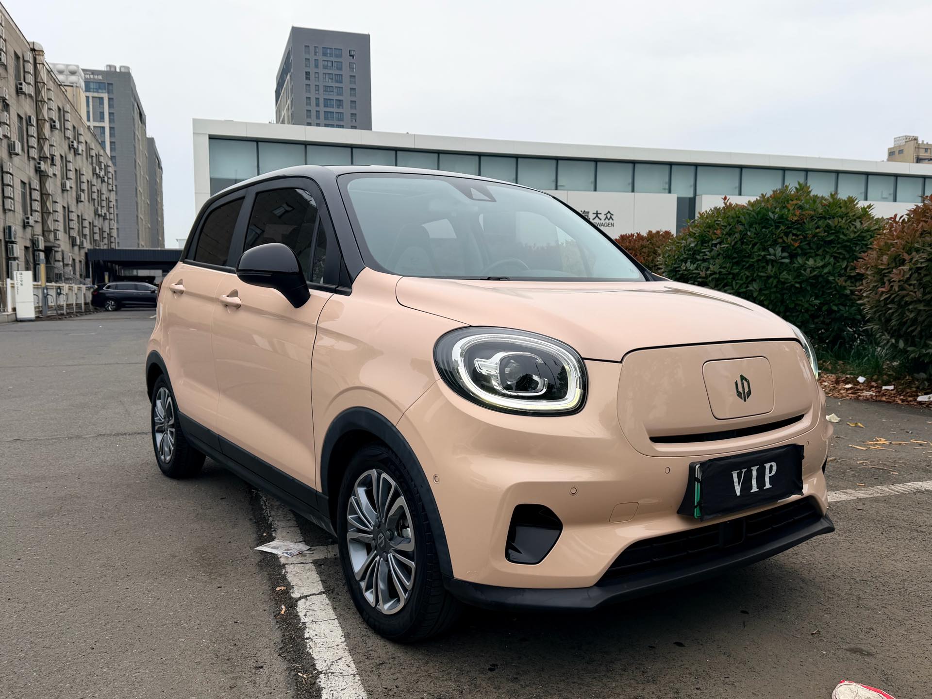 Leapmotor 2022 T03 Special Edition