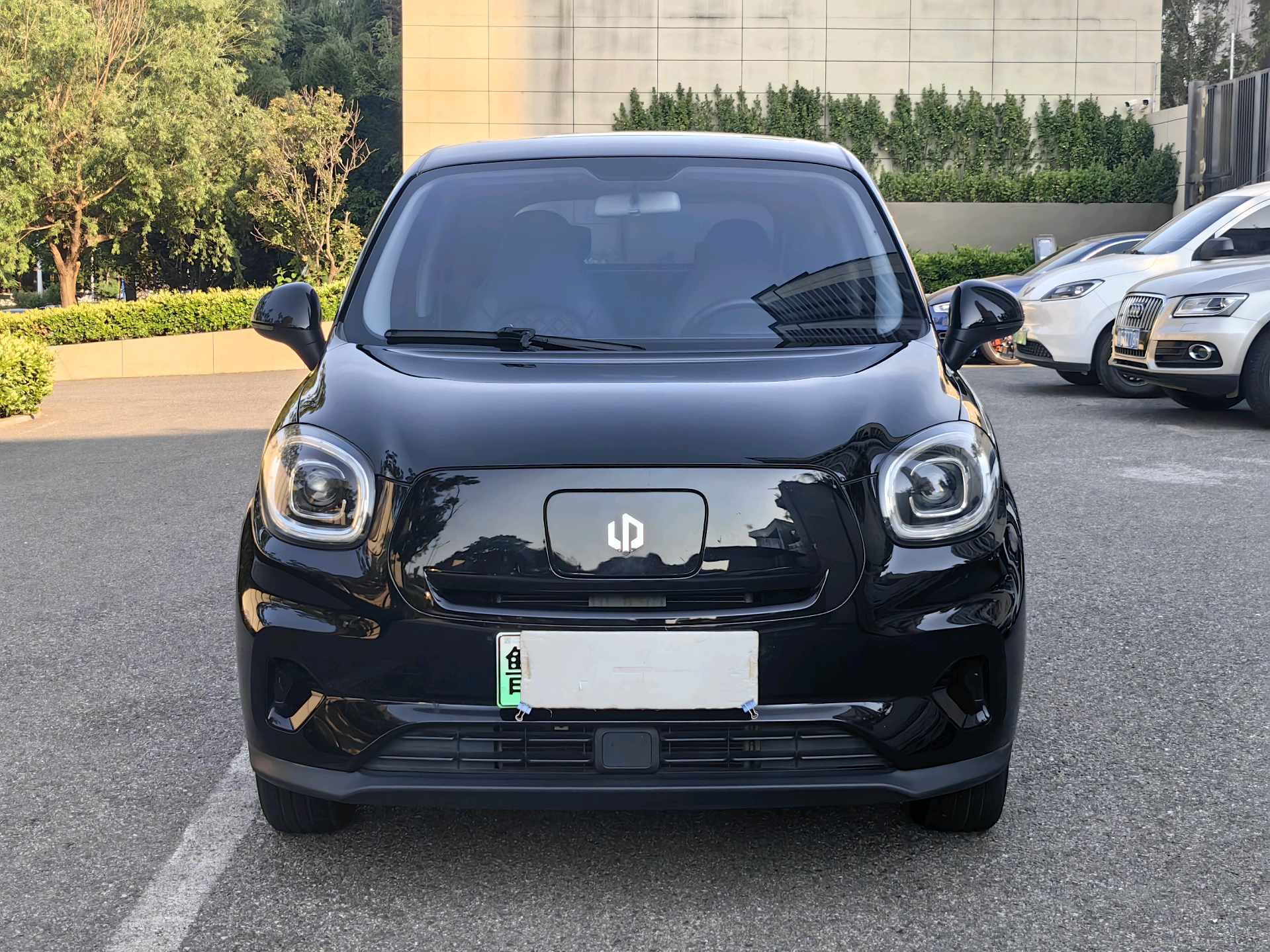 Leapmotor 2021 T03 400 Weitang Edition