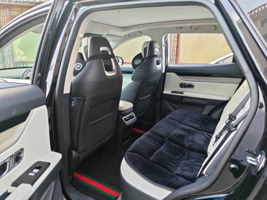 JETOUR 2024 Dasheng 1.5T Xingyao PRO