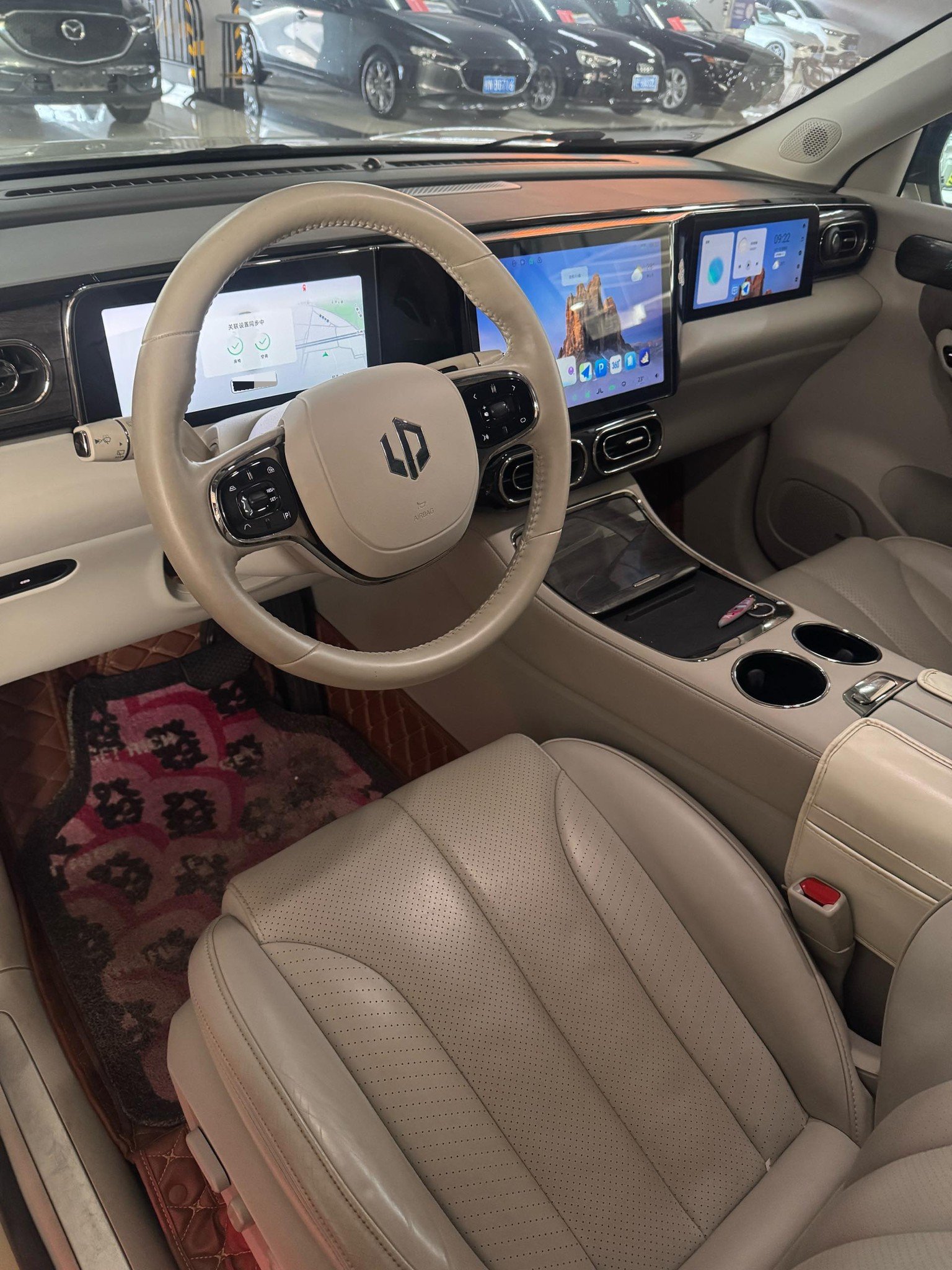 Leapmotor 2021 C11 Premium
