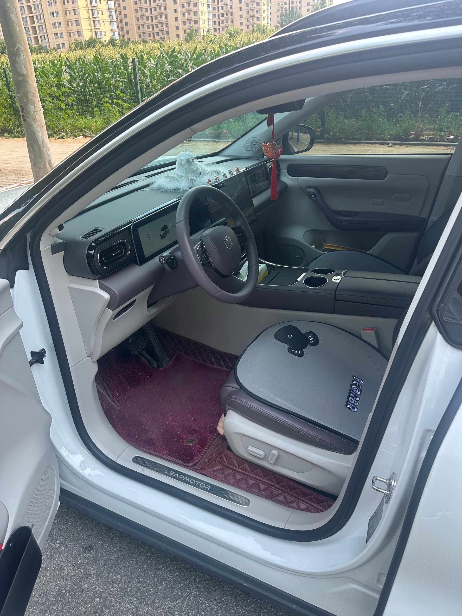 Leapmotor 2024 C11 580 Premium Edition