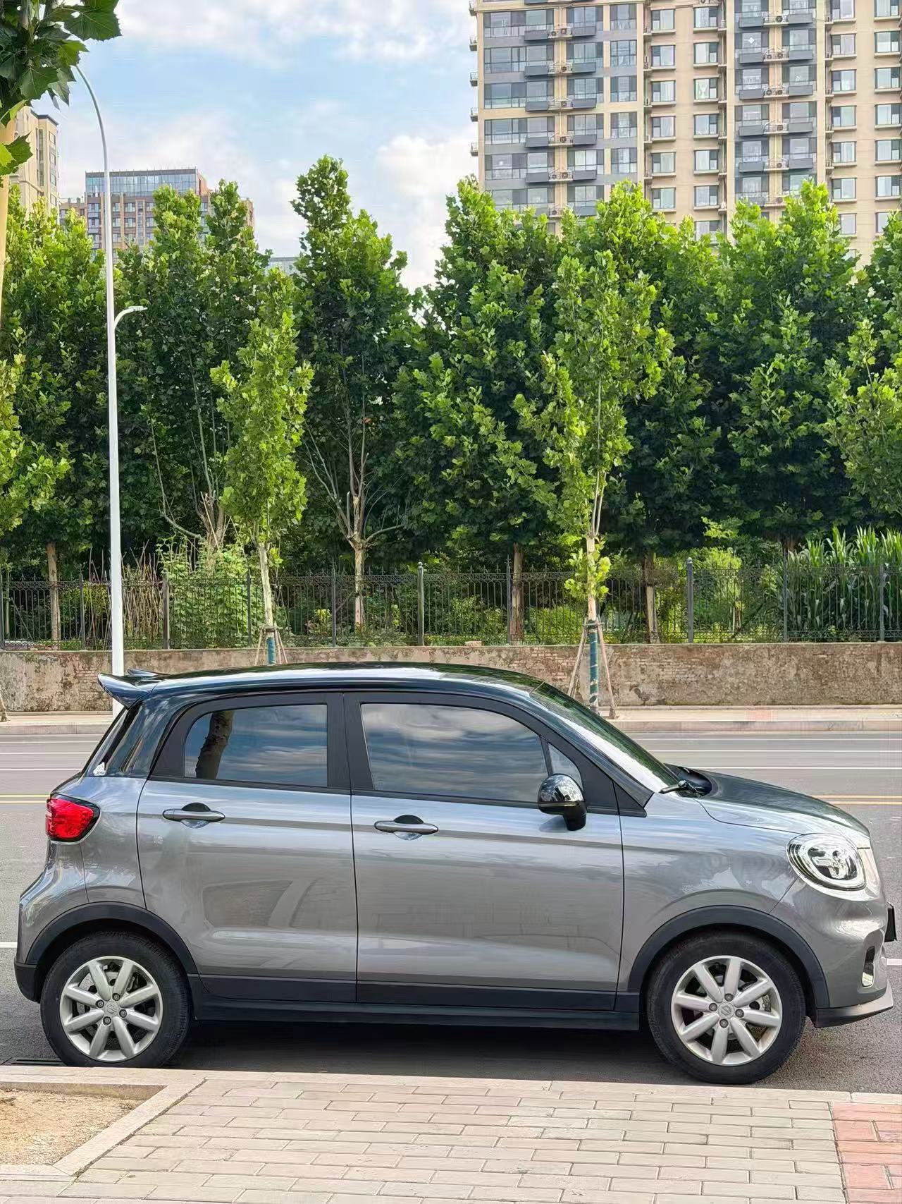 Leapmotor 2022 T03 Haoyu Edition