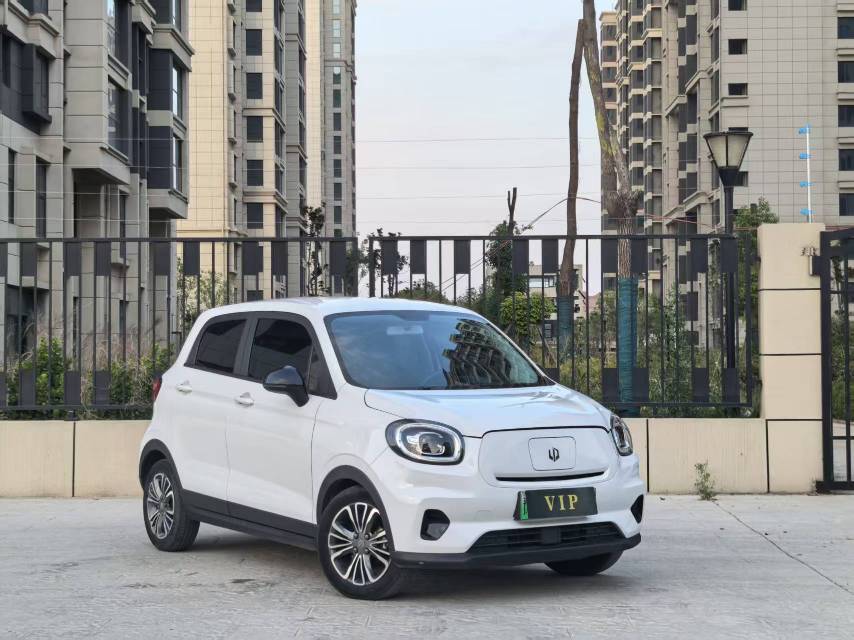 Leapmotor 2022 T03 Special Edition