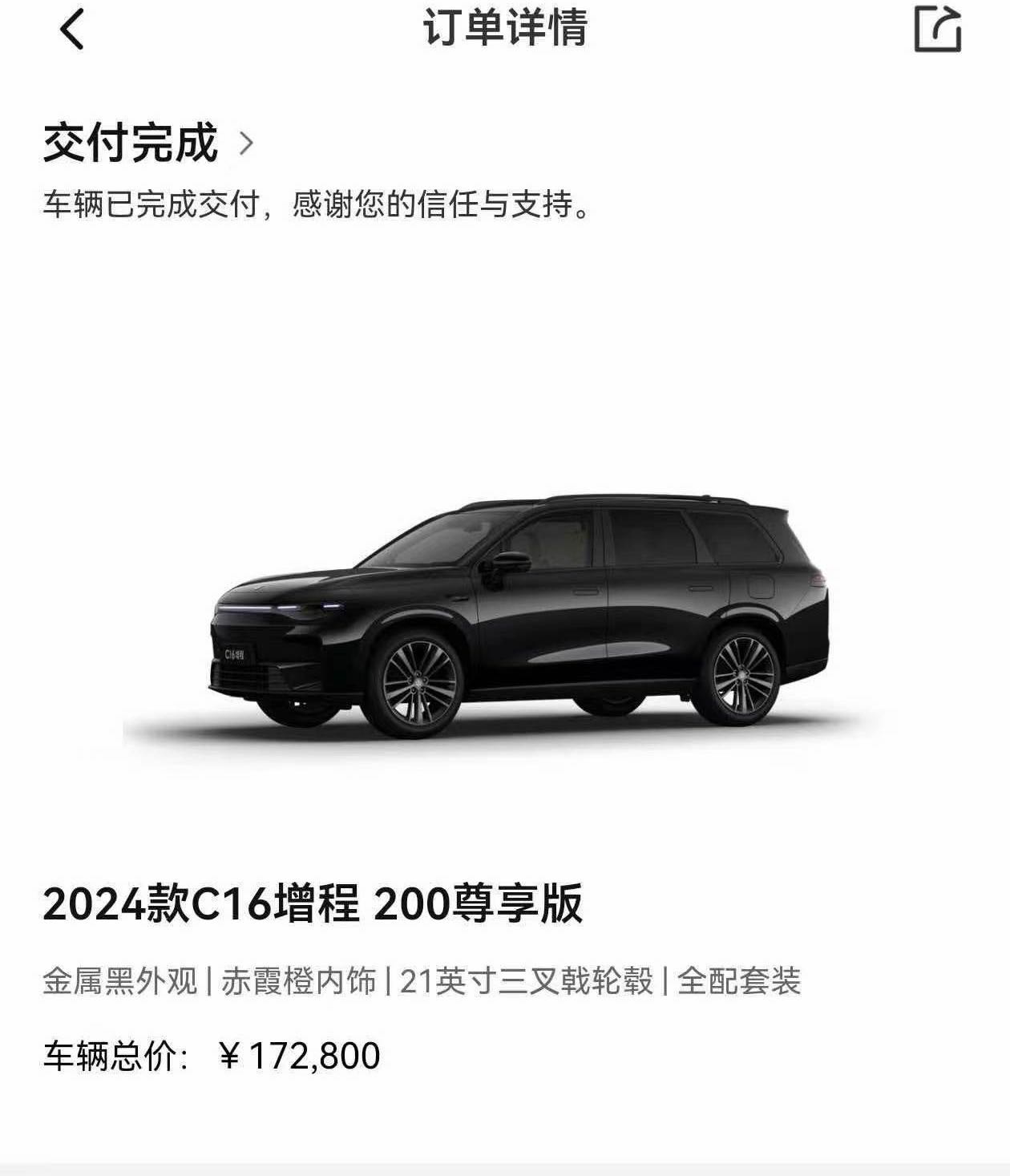 Leapmotor 2024 C16 200 Deluxe Edition