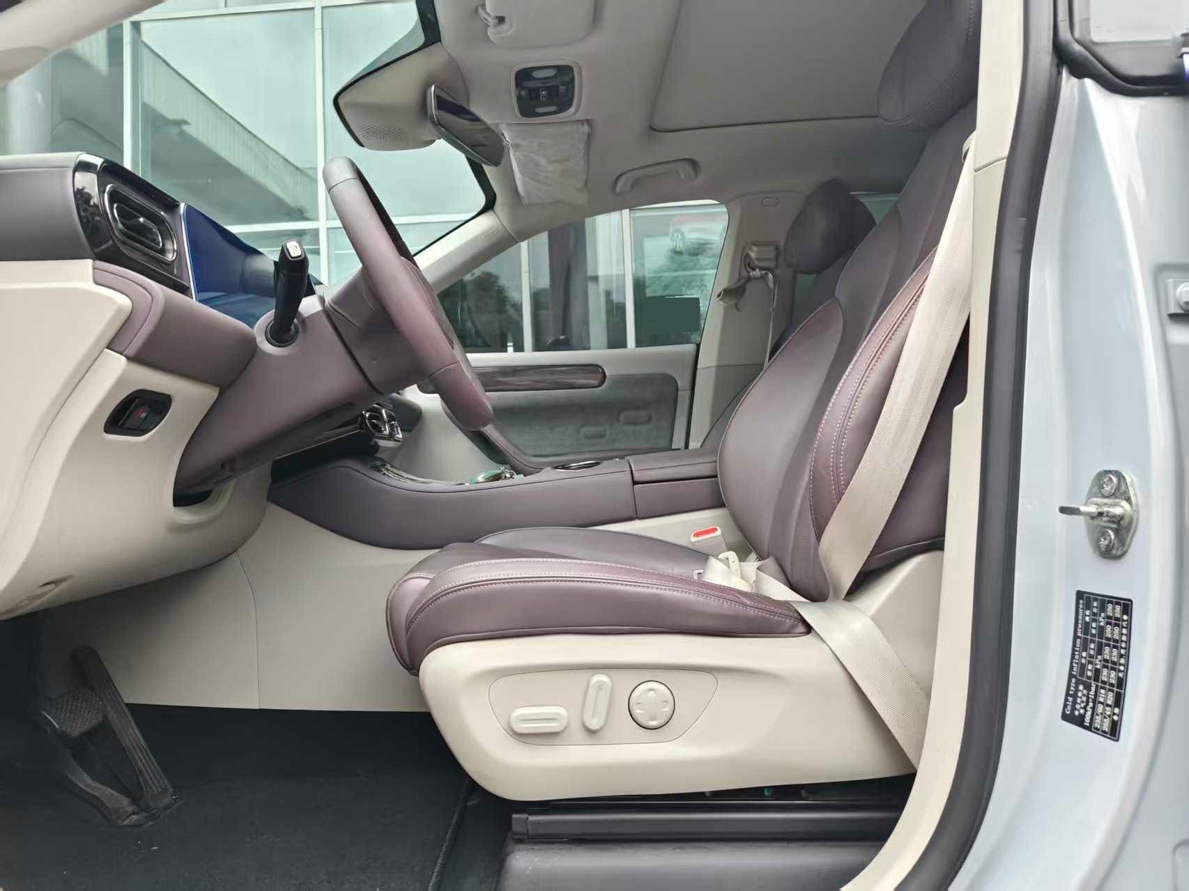 Leapmotor 2021 C11 Luxury Edition (Facelift)