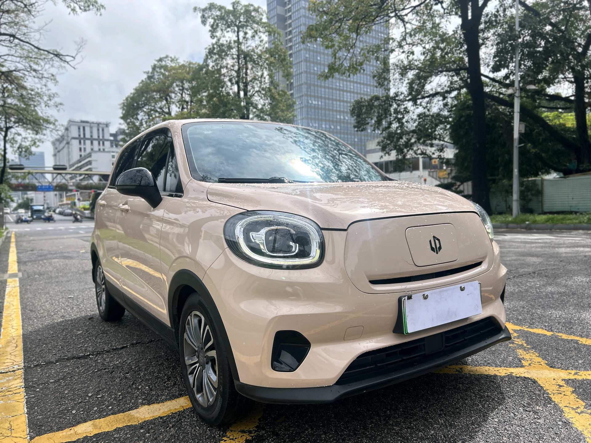 Leapmotor 2022 T03 Yaojin Edition