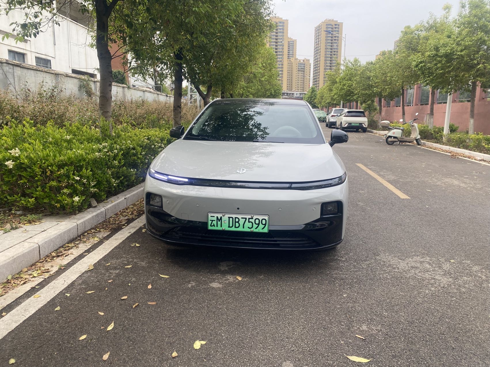 Leapmotor 2025 B01 550 Yuexiang Edition