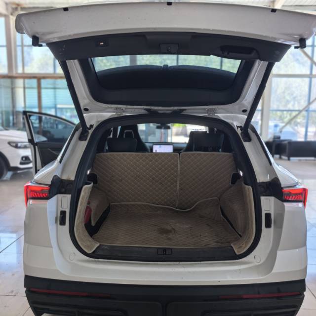 JETOUR 2024 Dasheng 1.5T Xingyao PRO