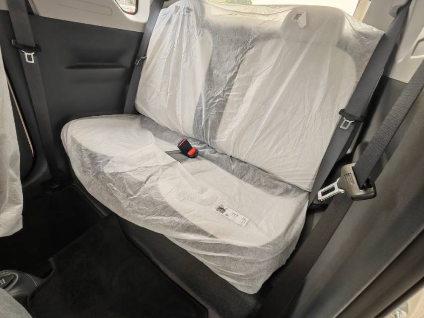 Geely 2025 Panda Mini 210km Yuanqi Bear