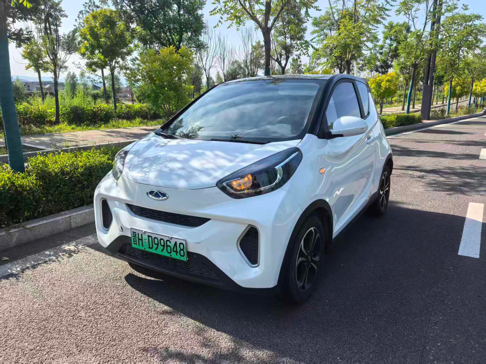 Chery 2021 eQ1 150,000 Ant Powder Edition Ant Cool Version LFP