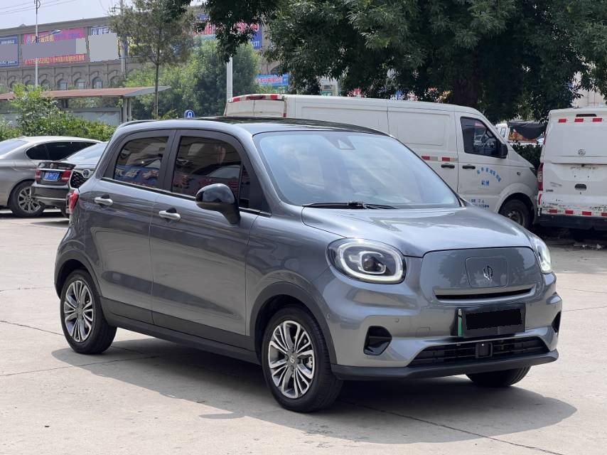 Leapmotor 2020 T03 400 Luxury Edition