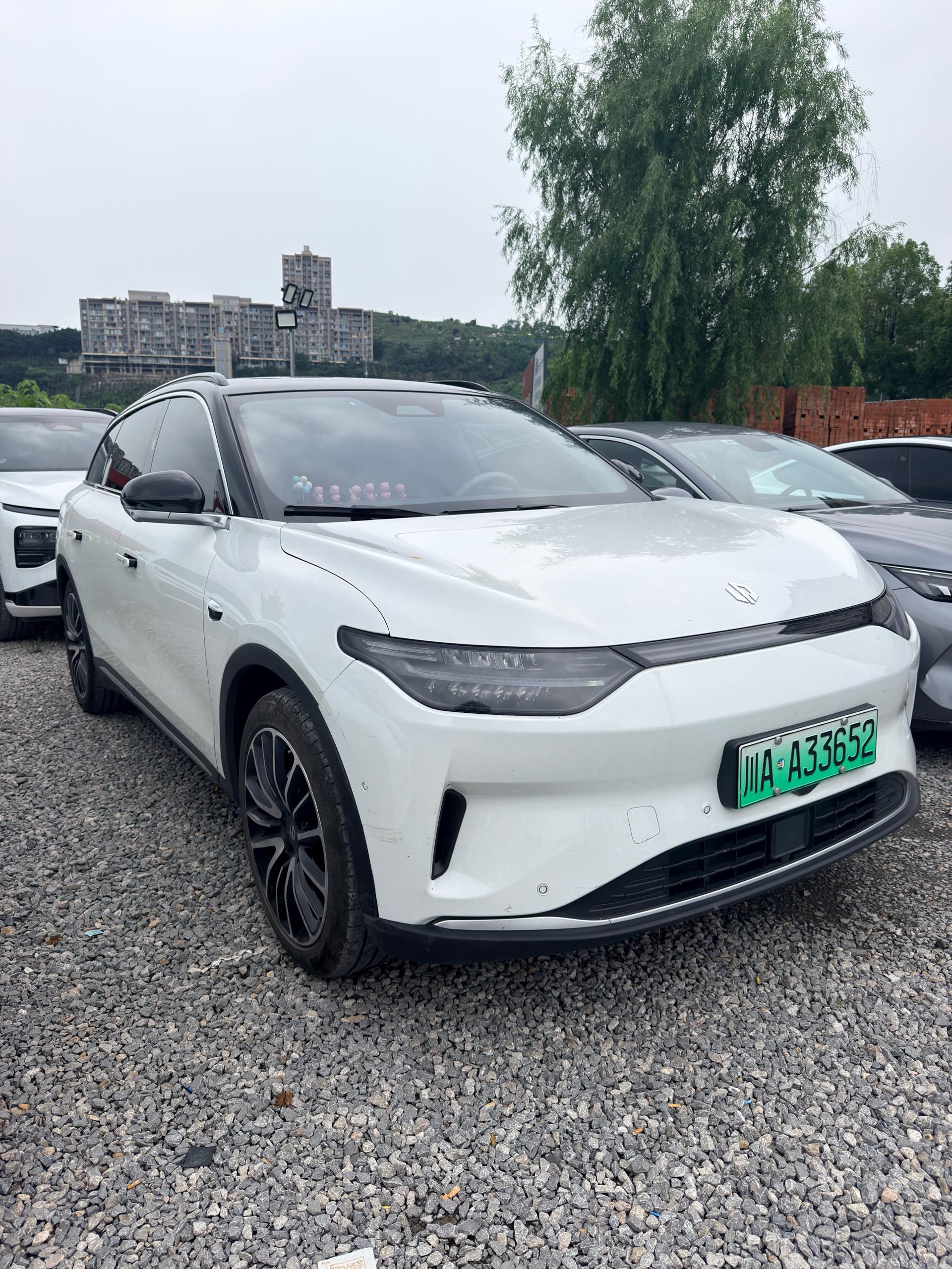 Leapmotor 2021 C11 Luxury Edition