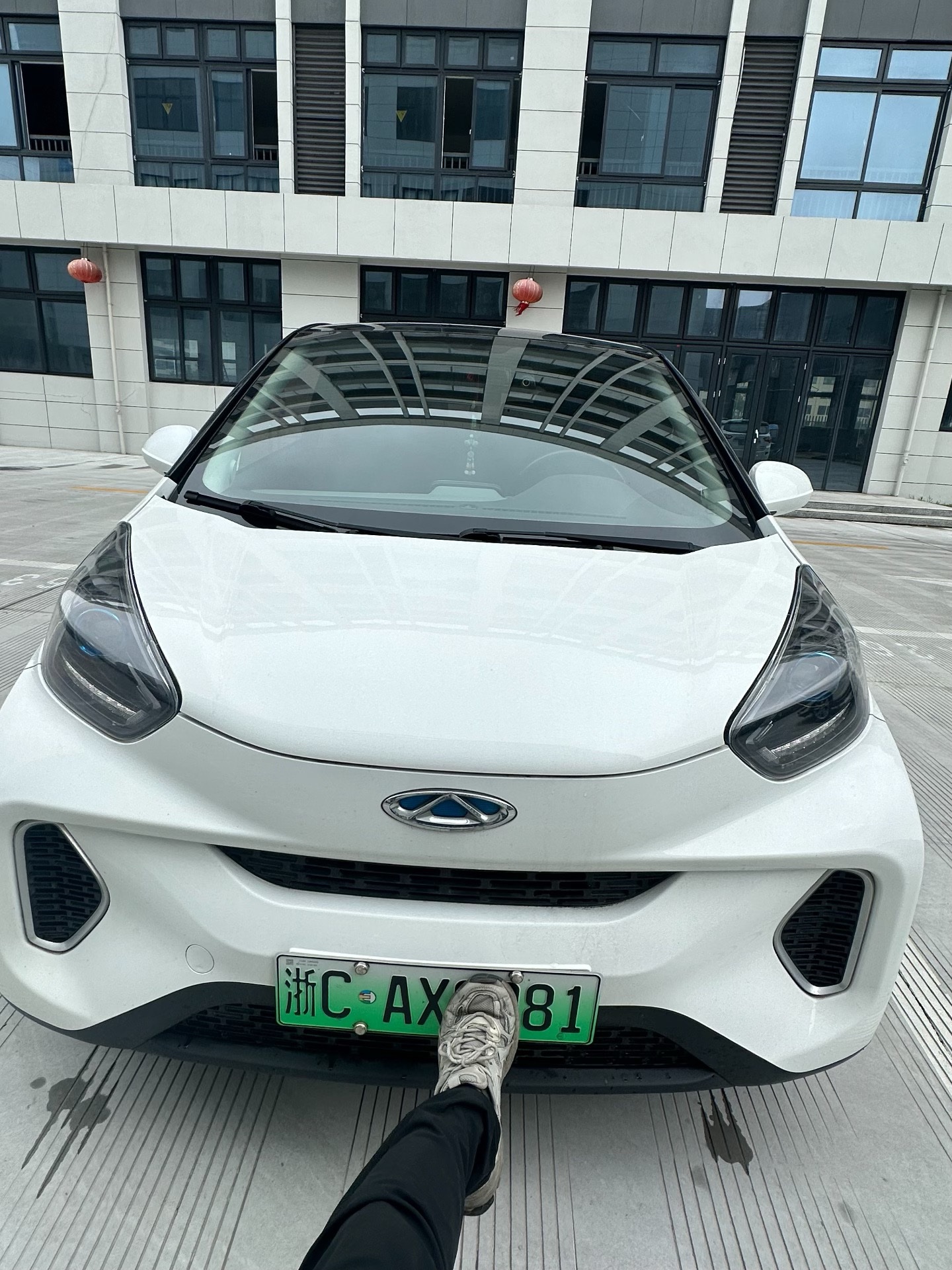 Chery 2021 eQ1 150,000 Ant Powder Edition Ant Xuan Edition LFP