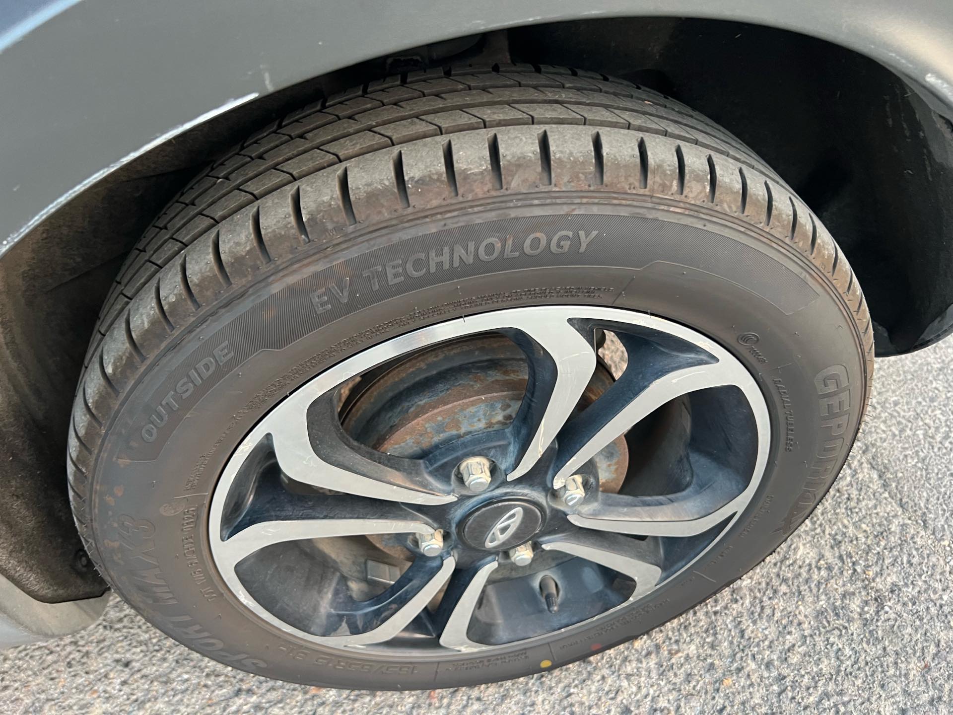 Chery 2021 eQ1 150,000 Ant Powder Queen Edition Ternary Lithium