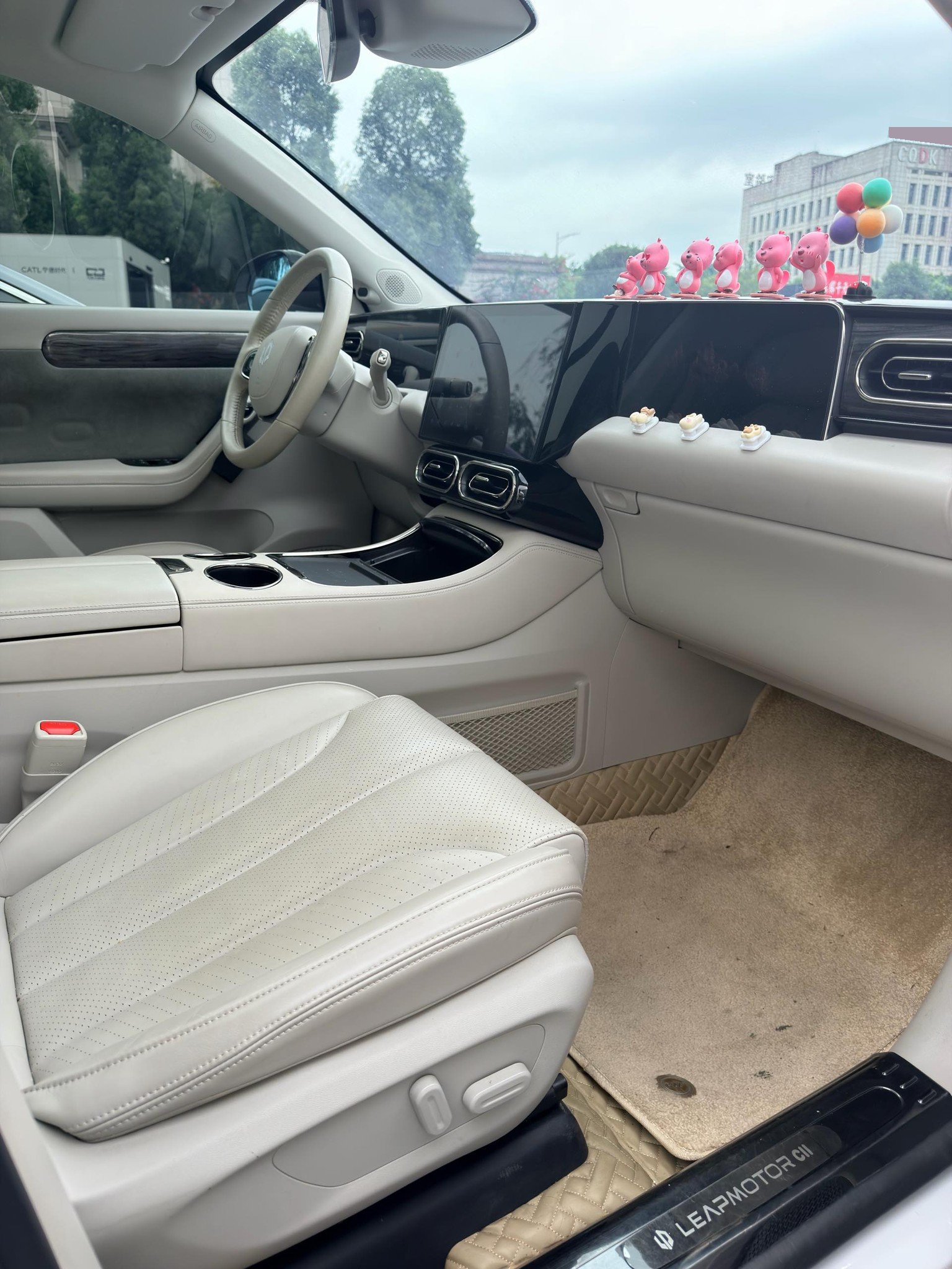Leapmotor 2021 C11 Luxury Edition