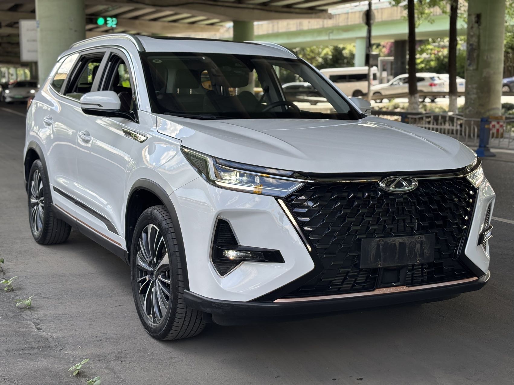 奇瑞 2022款 瑞虎8 PRO 2.0T 390T 四驱浩瀚版5座