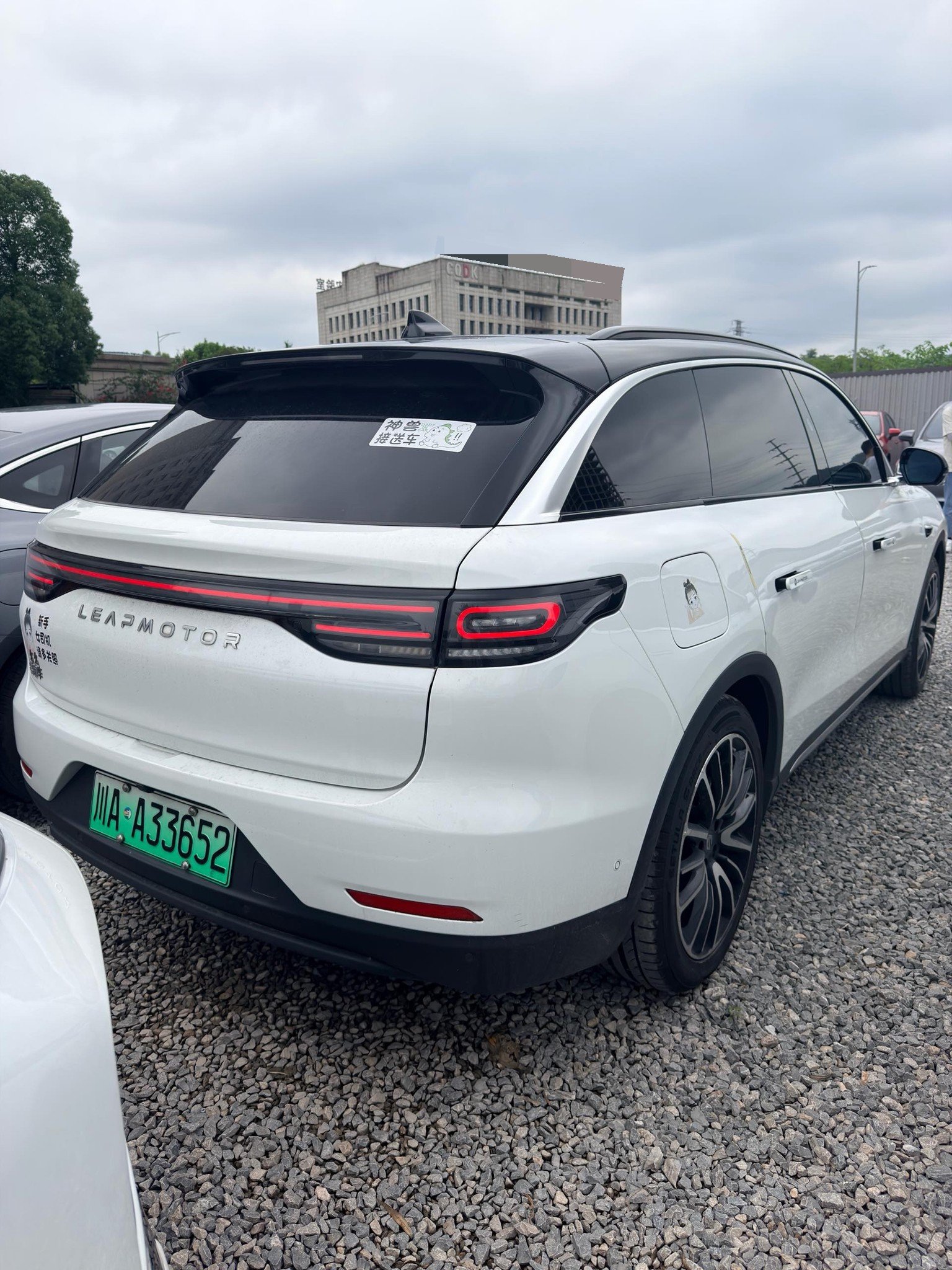 Leapmotor 2021 C11 Luxury Edition