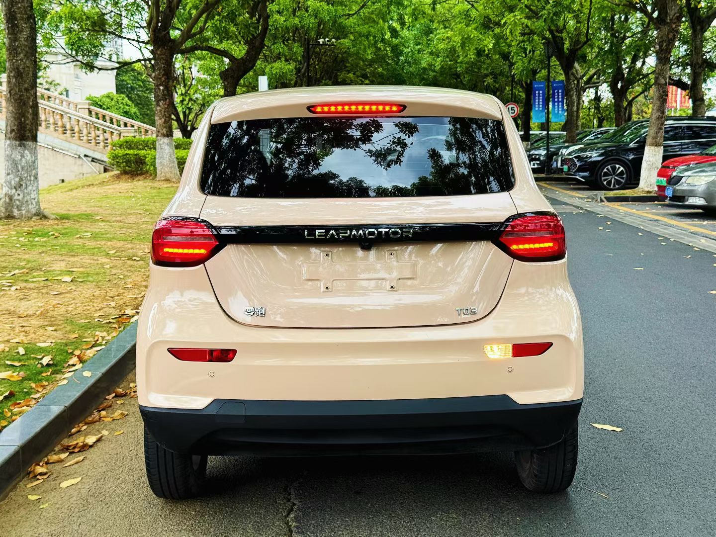 Leapmotor 2022 T03 Special Edition