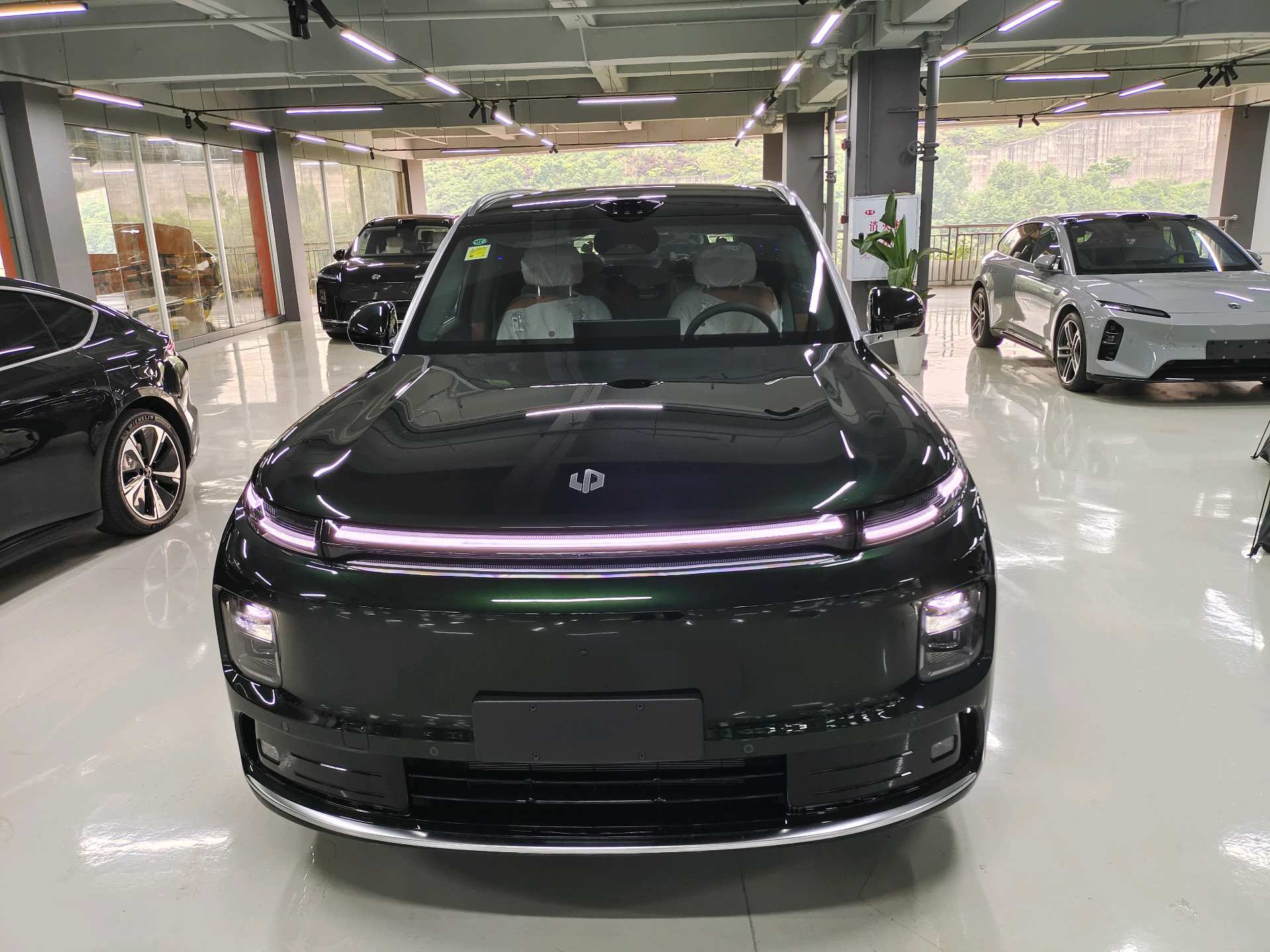 Leapmotor 2026 D19 500 Zhizun Edition 7-Seater