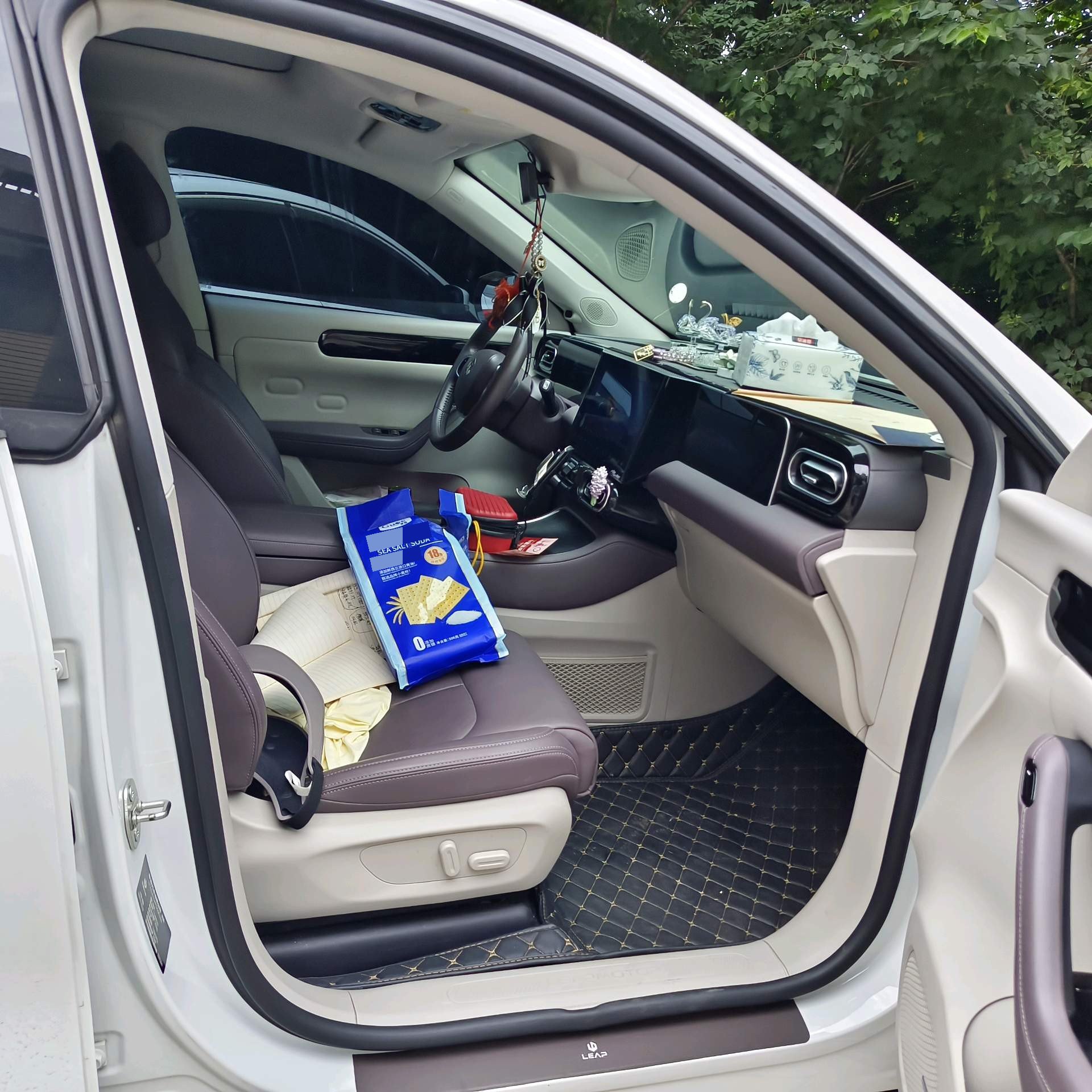 Leapmotor 2023 C11 500 Comfort Edition