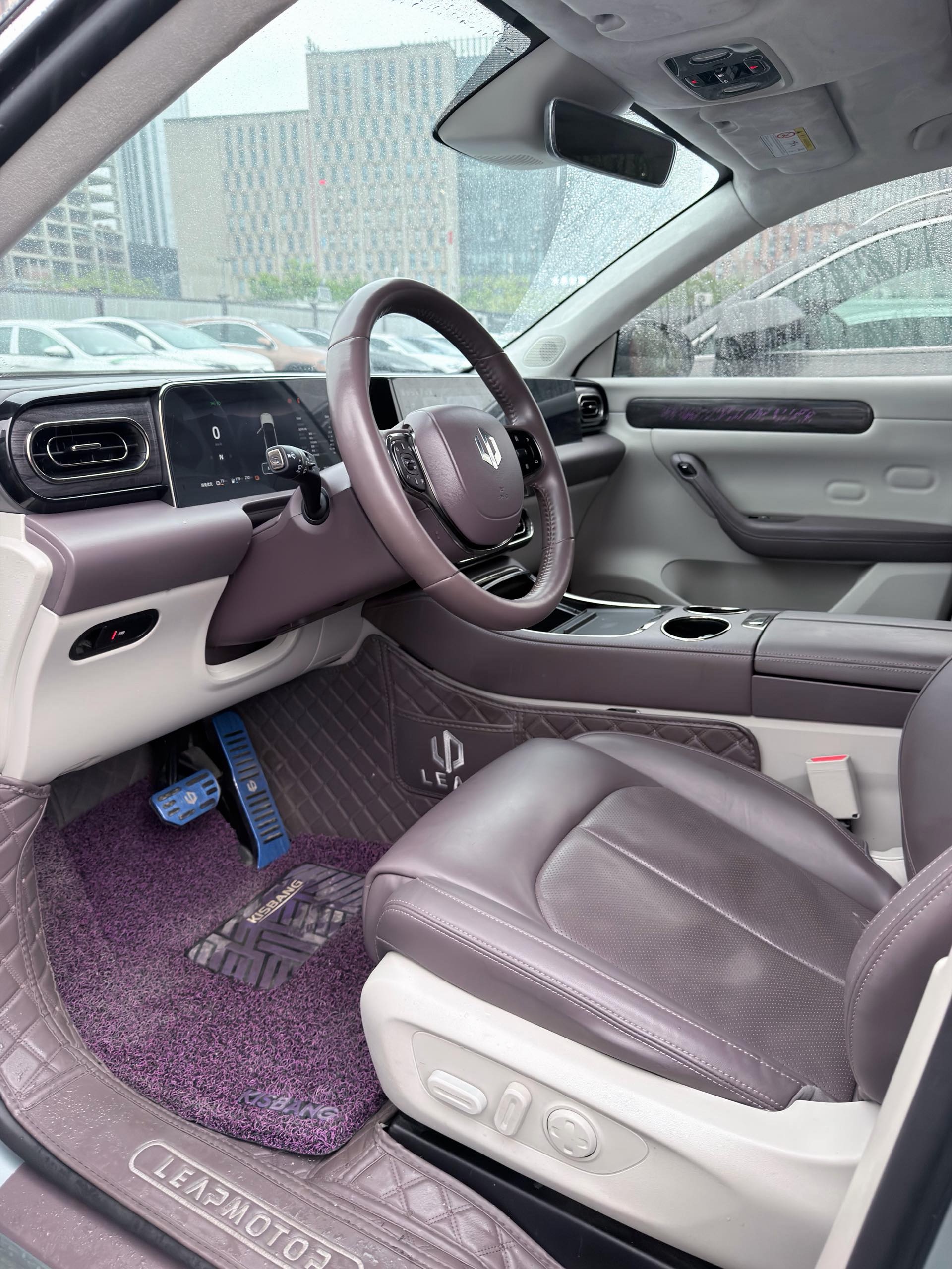 Leapmotor 2023 C11 285 Smart Edition