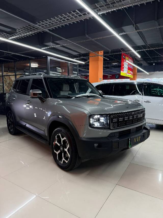 JETOUR 2025 Shanhai T1 C-DM 1.5T 150km Xianghai