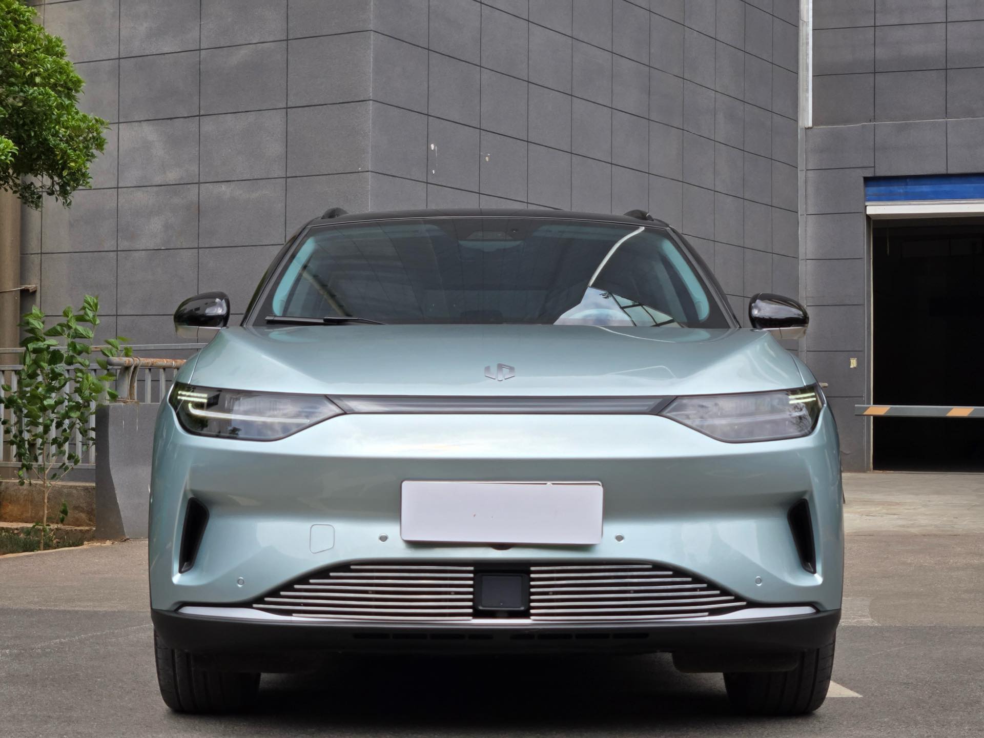 Leapmotor 2021 C11 Performance