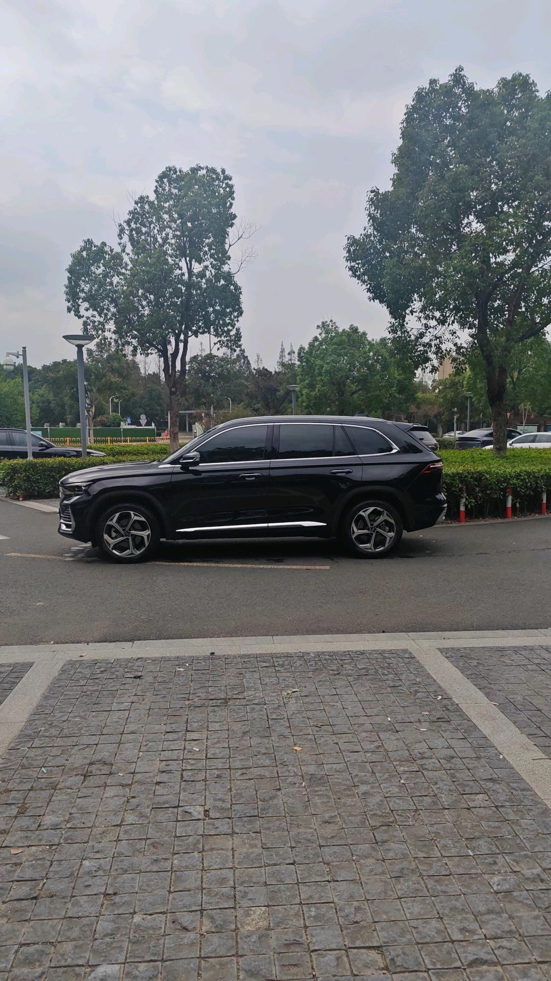Geely 2024 Xingyue L 2.0TD EVO two-wheel drive Changfeng Edition