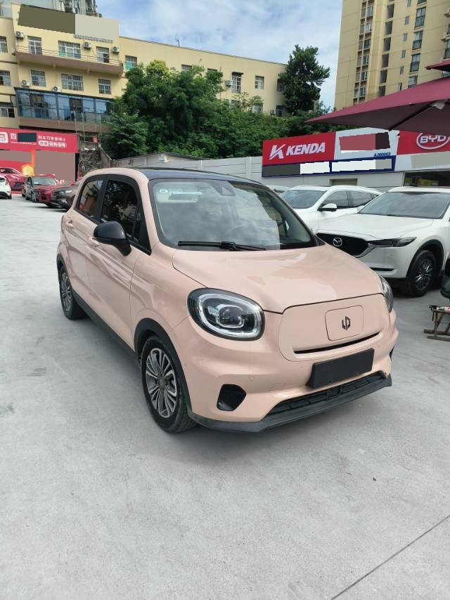 Leapmotor 2021 T03 400 Luxury Edition